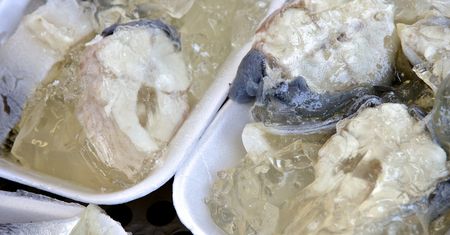 Najchudsza ryba. Praktycznie bez cholesterolu i toksycznej rtęci
