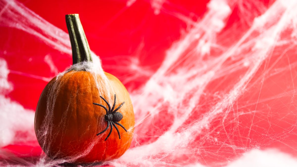 Dekoracje na Halloween