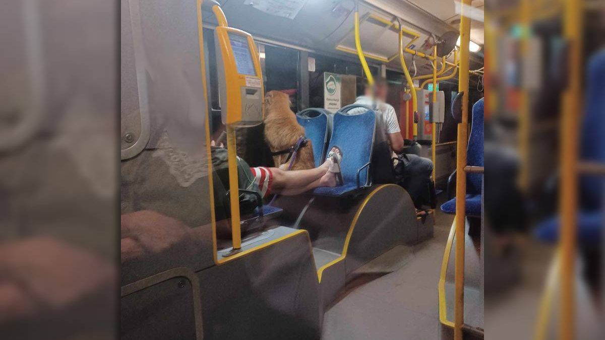 Głośna muzyka, nogi i pies na siedzeniu w autobusie