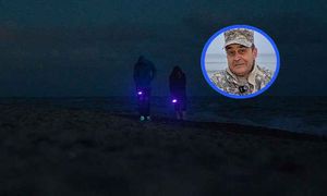 Wychodzą na plaże wieczorami. Aż roi się od niebieskich światełek