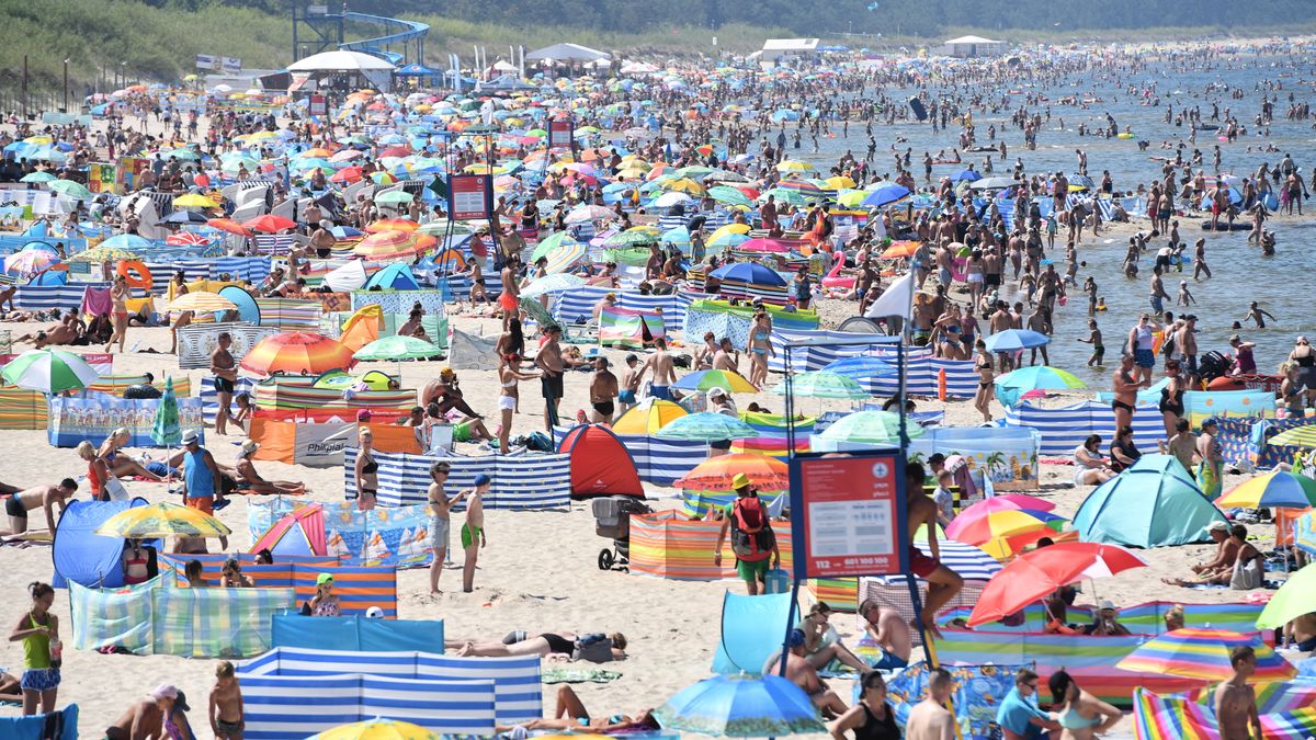 Parawany na plaży? Polacy wyrazili zdanie. Ratownik komentuje