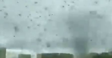 "Tornado komarów" przeleciało przez Rosję. "Niebo zrobiło się czarne"