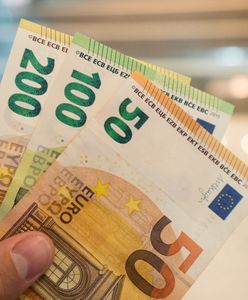 Polka pracuje w Niemczech od 20 lat. Policzyli jej emeryturę