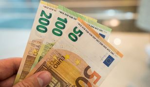 Polka pracuje w Niemczech od 20 lat. Policzyli jej emeryturę