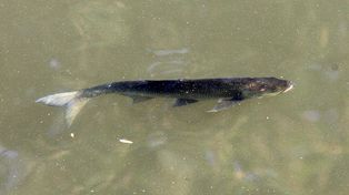 Słupsk: Posiedzenie Zarządu Okręgu Polskiego Związku Wędkarskiego. Stawki na 2026 rok i plany okręgu PZW