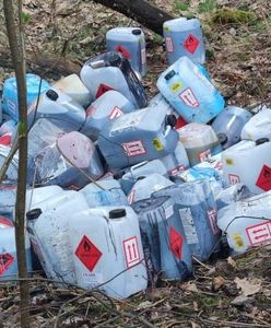 Bieruń. Niebezpieczne znalezisko. Chemiczne odpady w lesie