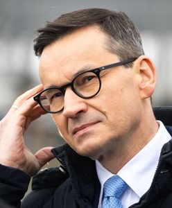 Morawiecki straci immunitet? "W Polsce nie ma świętych krów"