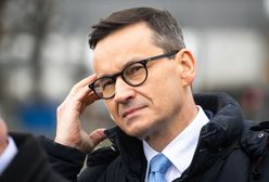 Morawiecki straci immunitet? "W Polsce nie ma świętych krów"