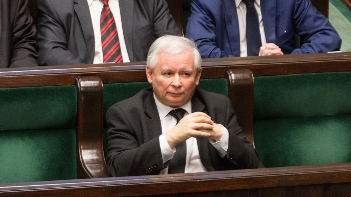 Nowy sondaż. PiS traci poparcie