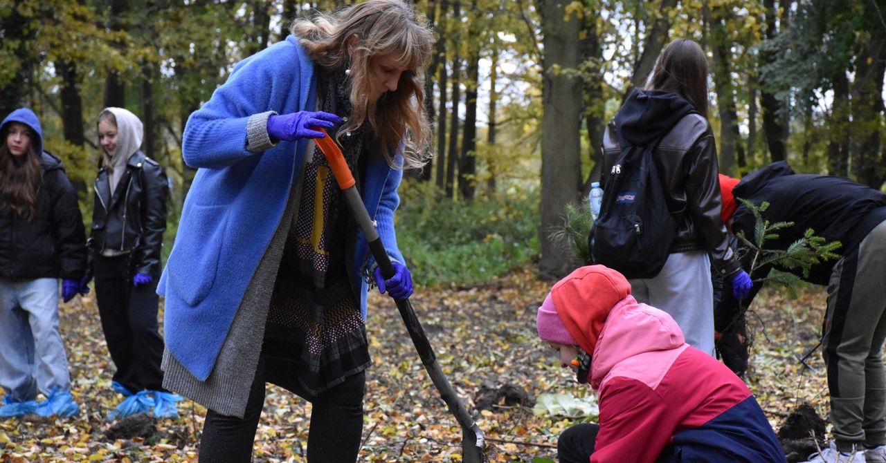 Malbork: "Elektryczny las" posadzony w Parku Miejskim. To nagroda za e-odpady wrzucane do czerwonych pojemników