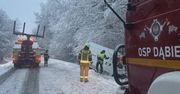 Dąbie: Mokry śnieg łamiący drzewa i śliskie drogi. Strażacy z powiatu z wezwaniami [FOTO]