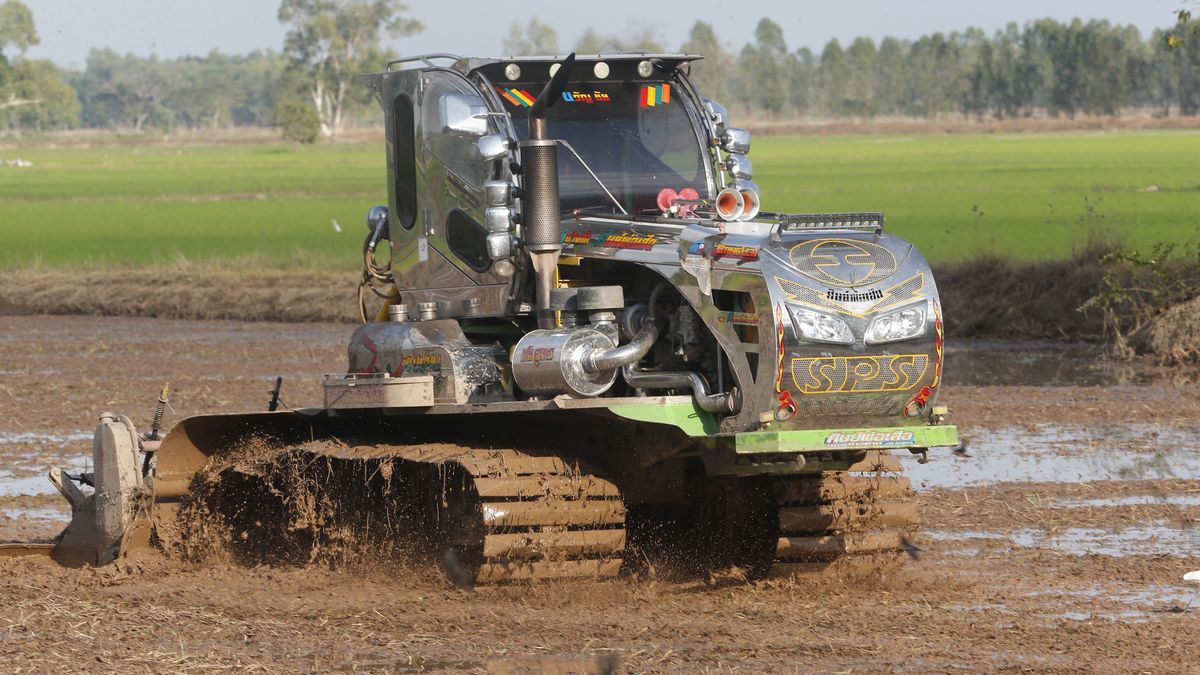 A farmer prepare his rice field for planting season using a
NAKHON SAWAN, THAILAND - 2026/01/23: A farmer prepare his rice field for planting season using a tractor plough. (Photo by Chaiwat Subprasom/SOPA Images/LightRocket via Getty Images)
SOPA Images
planting season, plough, rice farming, farming, rice field