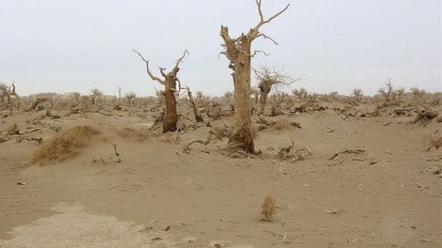 Pustynia, Max Payne i resztki z E3 1