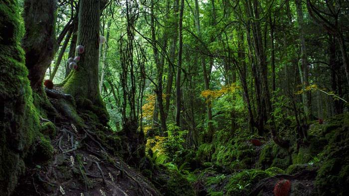 Mały Park Jurajski. Czy sztuczne zwierzęta uratują Ziemię? 1