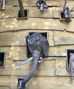 Warszawa. Zwierzyniec Wilkonia w Koneserze. Warto pokazać dzieciom