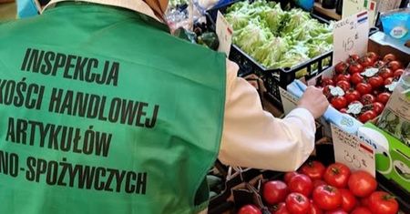Ziemniaki z Egiptu jako "młode polskie". Wyniki kontroli IJHARS