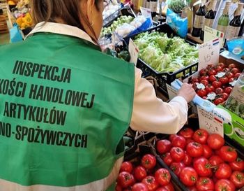 Ziemniaki z Egiptu jako "młode polskie". Wyniki kontroli IJHARS