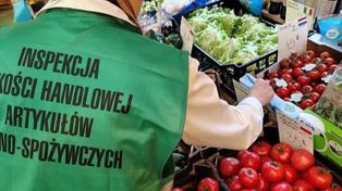 Ziemniaki z Egiptu jako "młode polskie". Wyniki kontroli IJHARS