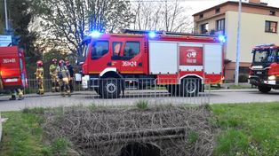 Nocna wichura w łódzkim. Połamane drzewa i konary padały na jezdnię