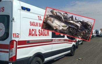 Spłonęła z piątką dzieci. Nowe doniesienia po tragedii w Turcji