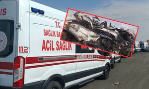 Spłonęła z piątką dzieci. Nowe doniesienia po tragedii w Turcji