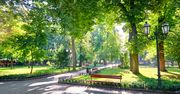 Lublin: W parkach po nowemu. I na Felinie, i przy ul. Zawilcowej