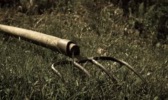 Lubelskie. Nieszczęśliwy wypadek: widły jak bumerang