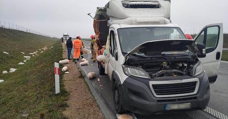 Kebaby na krajowej "siódemce". Niecodzienny widok