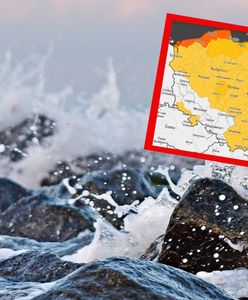 Zamknięte cmentarze i zoo. Alarmujące prognozy