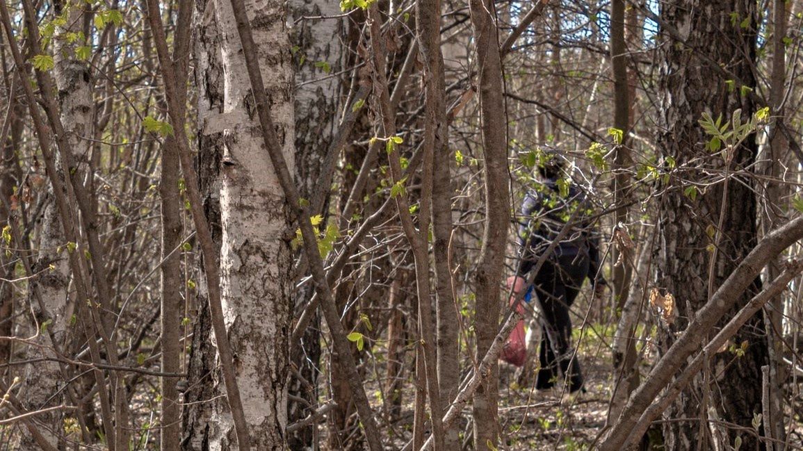 Makabryczne odkrycie na grzybobraniu. Zdj. ilustracyjne 