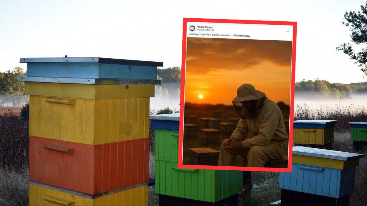 Coraz więcej dramatów na polskich polach