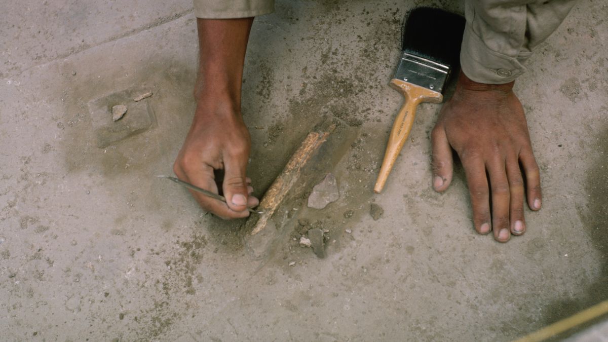 Odkrycie w Atenach. Zdjęcie ilustracyjne