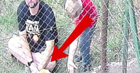 Wandalizm w schronisku w Brodnicy. Nagranie wywołało burzę. "Co on ma w głowie?"