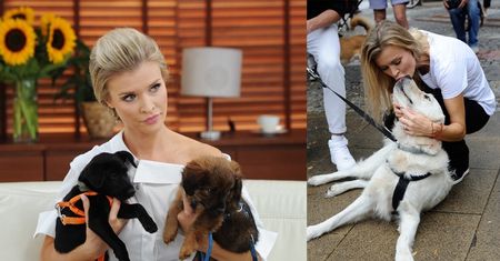 TYLKO NA PUDELKU: Joanna Krupa jest przerażona tym, że niektórzy porzucają swoje psy: "Nie wirus mnie zabije, tylko ZŁAMANE SERCE!"