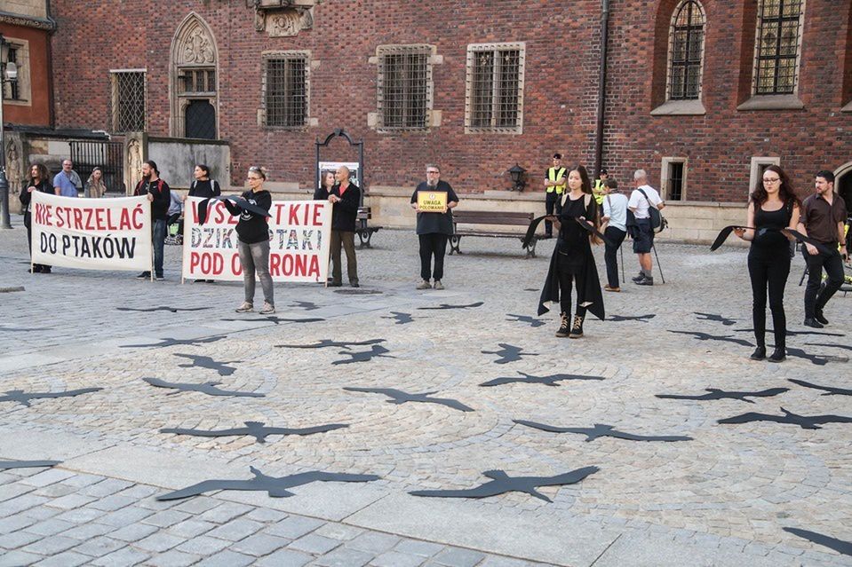 Wrocław. "Zatrzymajmy rzeź ptaków! #NiechLecą!". Protest w Rynku