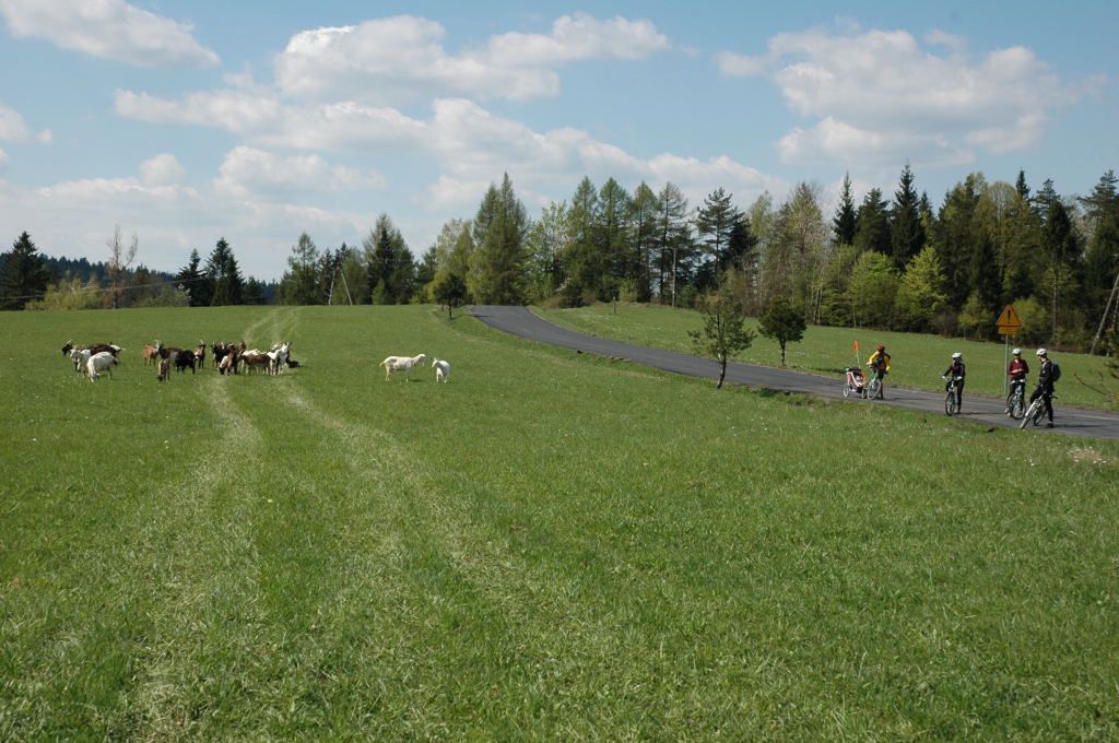 Pejzaże Beskidu Niskiego urzekają i wyciszają