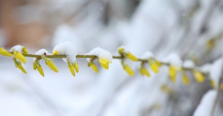 Pogoda na weekend: ciąg dalszy kwietniowej przeplatanki