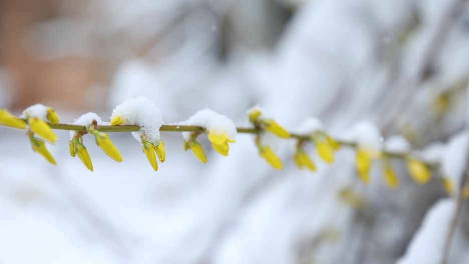 Powr�t zimyFot. Pawel Wodzynski/East News, Warszawa, 02.04.2022. Opady sniegu w Warszawie.Pawel Wodzynski