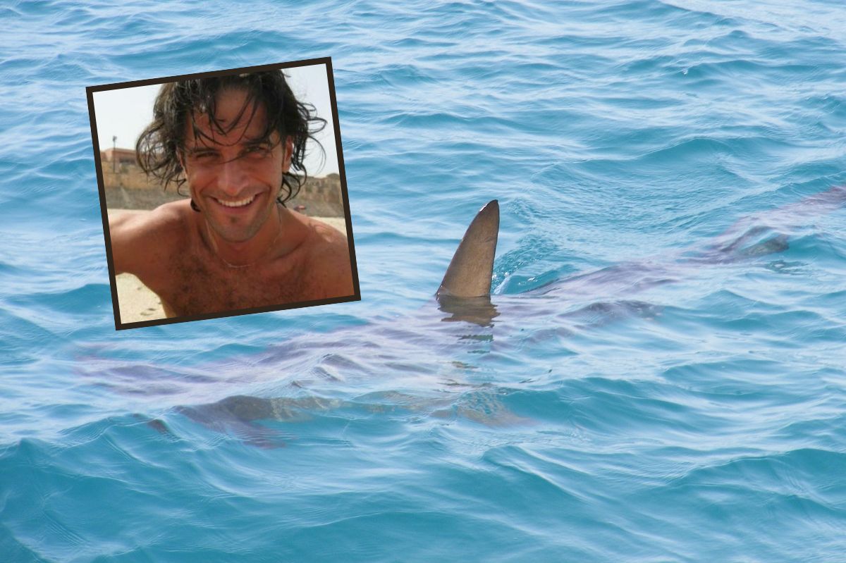 Tragedy in paradise: EU diplomat dies in Red Sea shark attack