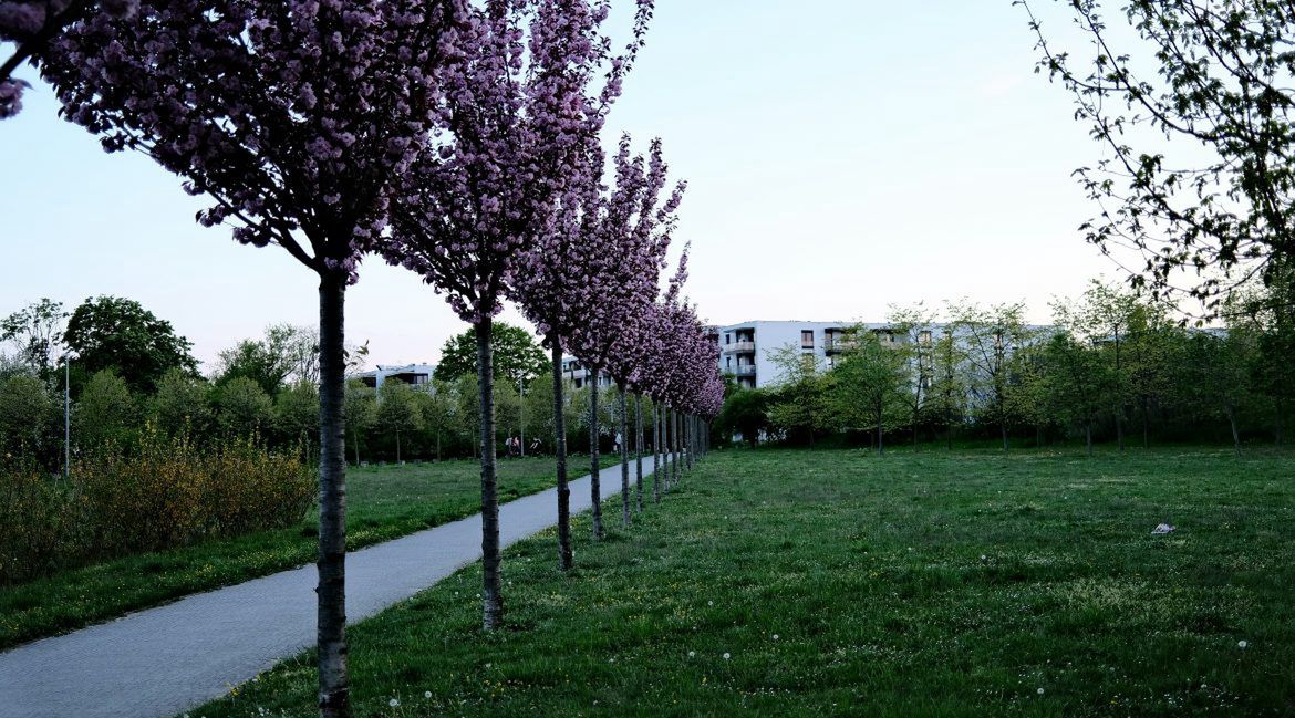 Jaką pogodę przyniesie środa?
