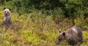 Tatry. Zamknięte szlaki w rejonie Doliny Gąsienicowej