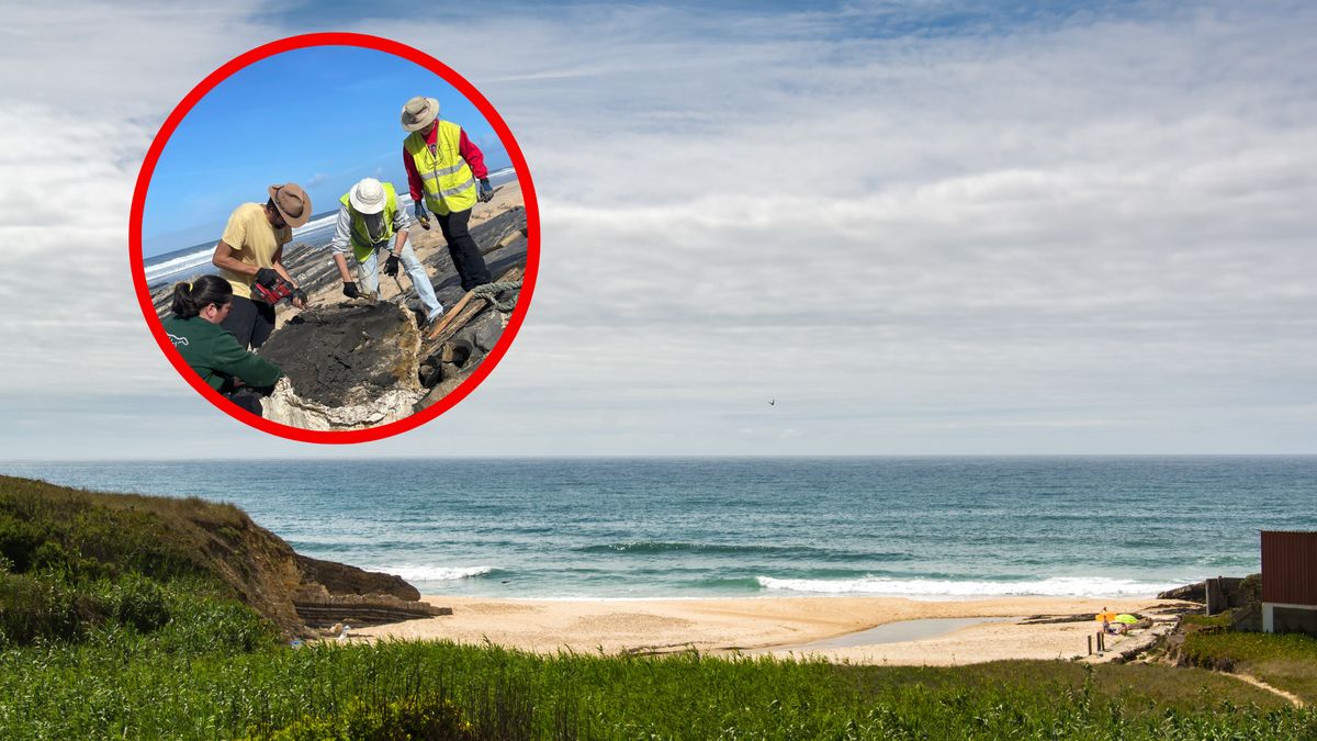 Odkrycie na portugalskiej plaży 