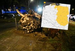 Uwaga na silny wiatr! IMGW wydał alerty dla dziewięciu województw