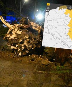 Uwaga na silny wiatr! IMGW wydał alerty dla dziewięciu województw