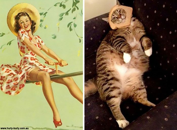 Koty, które pozują jak dziewczyny pin-up z dawnych amerykańskich plakatów 22