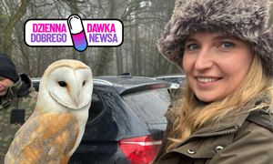 Leśnicy zapraszają do licytacji. "Gwarantujemy nietypowe atrakcje"