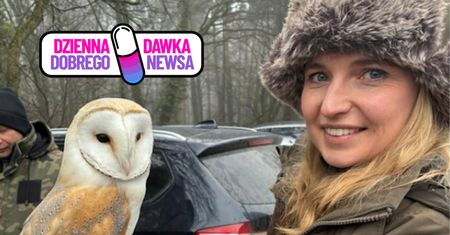 Leśnicy zapraszają do licytacji. "Gwarantujemy nietypowe atrakcje"