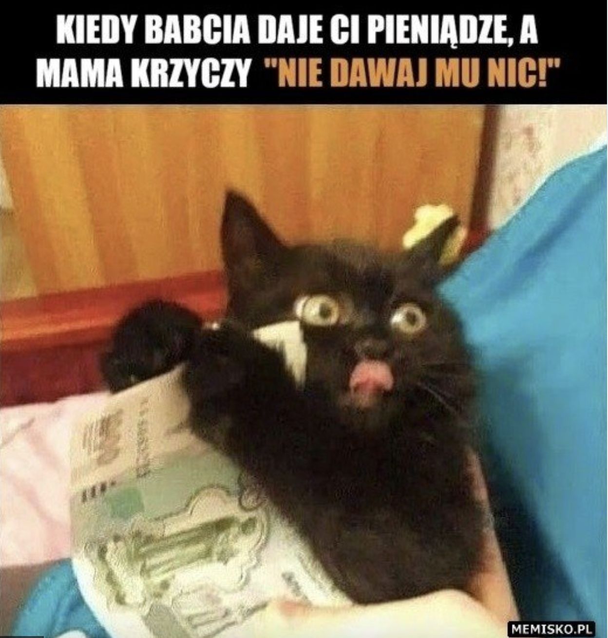 Memy z okazji Dnia Babci 2026