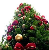 Wesołych Świąt! 1