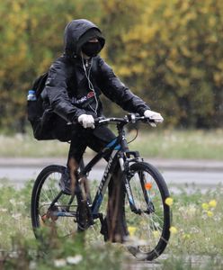 Sosnowiec. Na ulicach miasta staną "instrybutory"